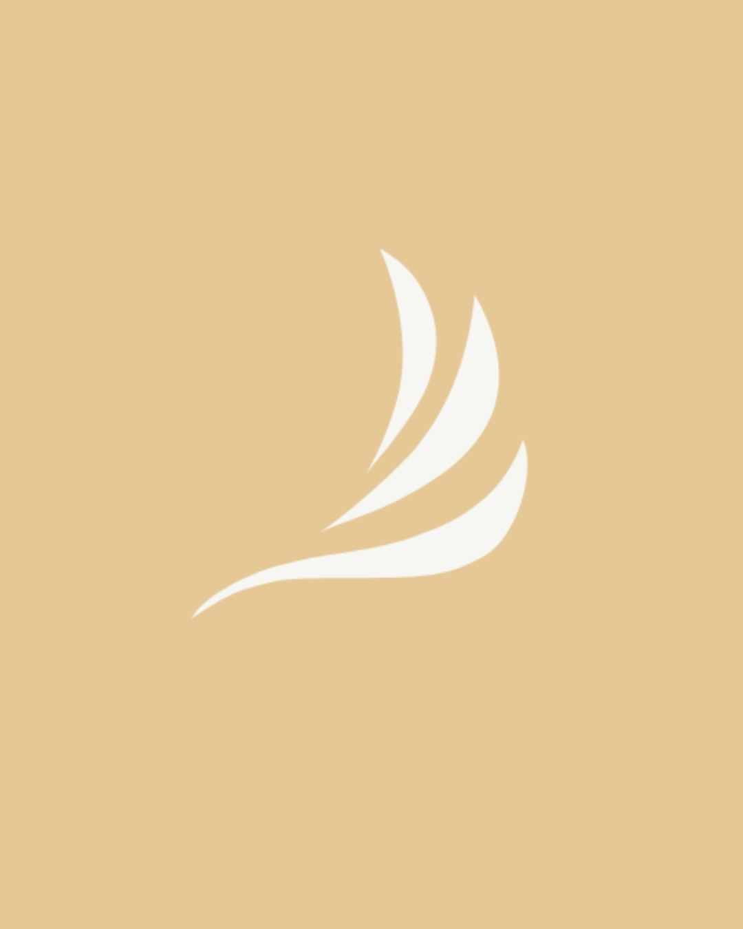 Legs Health & In-Flight Circulation Patch